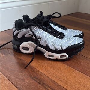 Nike Black and Gray TN